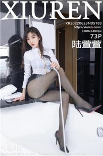 女保险公司推销员5